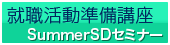 �A�E���������u���@summerSD�Z�~�i�[